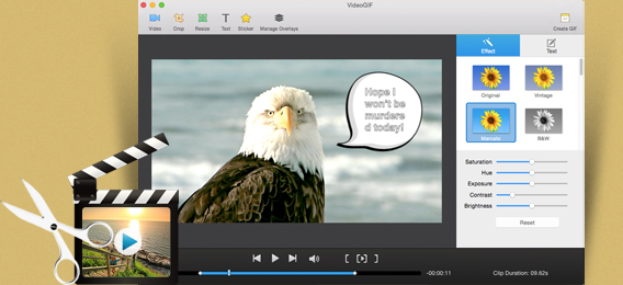 VideoGIF for Mac screenshot
