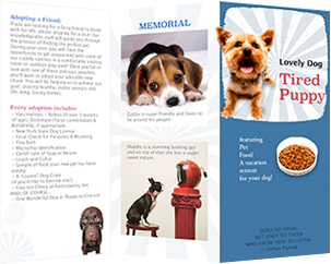 lovely pet dog adoption brochure template