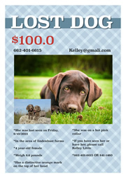 flyer templates for lost dog