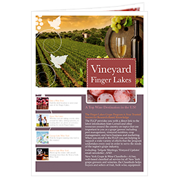 vineyard newsletter template