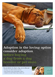 printable poster for dog adoption