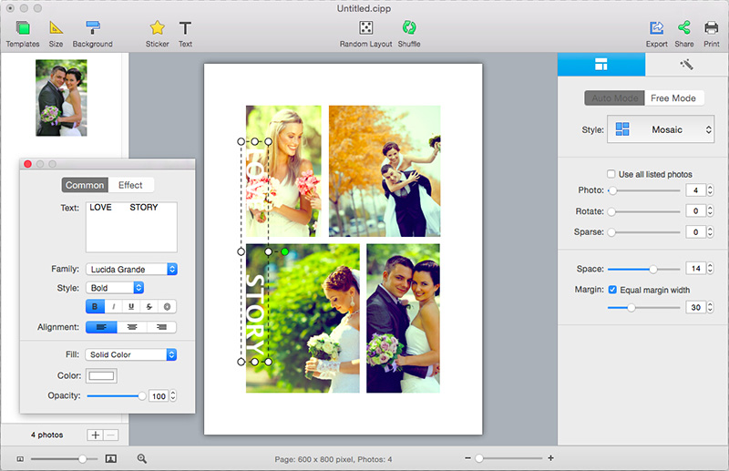 CollageIt for Mac software