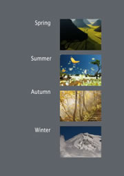 beautiful photo collage for seasons