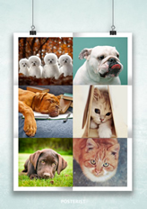 creative photo collage template