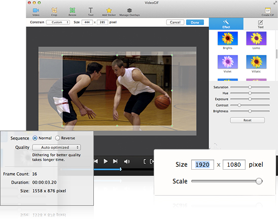 Easy to Use GIF Maker for Converting Video to GIF - VideoGIF for Mac