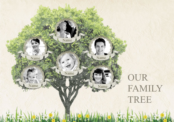 Best family tree software mac