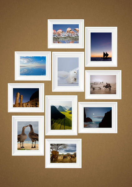 picture collage maker pro templates free download