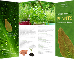 brochure template for green plants
