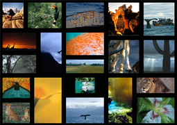 landscape collage template
